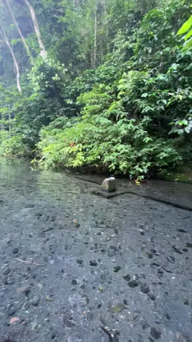 Kalau karangasem punya Tukad Yeh Ning, Bangli punya Tukad Suganing #suganing #banglibali