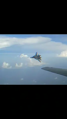 Tomcat Tuesday with the VF-103 Jolly Rogers  Song: Simpsonwave1995 (slowed + reverb)  Hope you enjoy this edit!   #f14 #f14tomcat #vf103jollyrogers #tomcattuesday