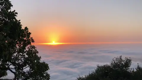 #زين #حتى_لو_قلبي_بإيديك🤍 #v #viral #fyp #foryou #explore 