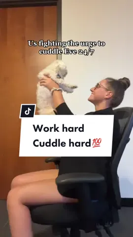 work hard, cuddle hard💯 #doglovers #dogs #PetsOfTikTok #officepups #pethonesty