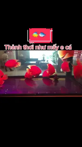Baby shark đu đu đu đu đù #fantasia 