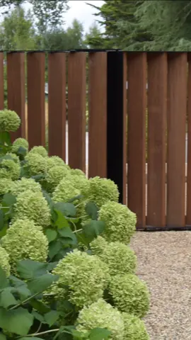 Before - boring fence. After - gorgeous Louvre screen. #gardendesign #gardensoftiktok #fencing #design 
