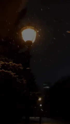 كل عام وانت غايب،‏ وكل عام وانت طيب ولو انـــك بعيــد🚶🏻‍♂️. . ّ.                                                             #اكسبلور #4u #fypシ #viral #حزين #اكسبلورexplore #foryoupage #fy #ذكريات #moveslikeelvis #fypシ゚viral #comeplay #حلاوة_اللقاء #foryou #فراق #Hbd #تصميمي#شعور  #الشعب_الصيني_ماله_حل😂😂 