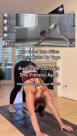 A morning routine that includes yoga just hits different 😌✨ if you need a new yoga flow for National Yoga Month… check out Tara Stiles’s two new programs in The Fitness App! 🤩🥳 #nationalyogamonth #tarastiles #thefitnessapp #morningyoga #yoga #yogaapp #yogaroutine #yogaroutines