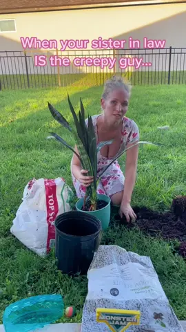 When you transplant part of your #snakeplant to give to your sister in law…. 🤣😂💗 #plantmom #hotmom #sisterinlaw #womanpower #melons 