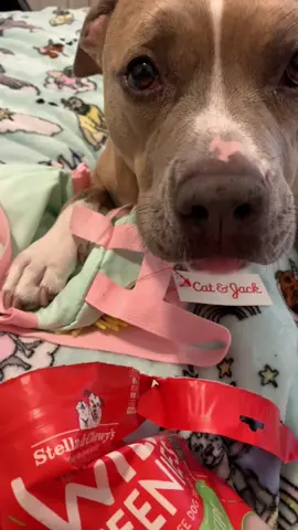 Thank you @Zeus and Katrina! Y’all are the sweetest! We love you 🥹🥰 #indieunboxes #dogmail #bestsurprisever 