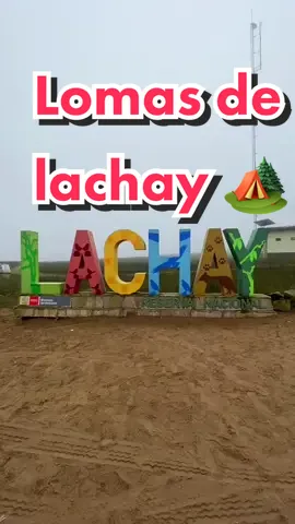 Lomas de lachay #viral #fypシ #tendencia #lima #parati #viajes #tips #trekking 