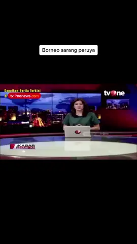 #kalteng #lamandaukalteng #viral