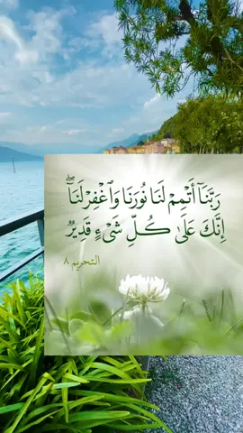 #ربنا_اتمم_لنا_نورنا_واغفر_لنا_إنك_على_كل_شيء_قدير🤲🕊