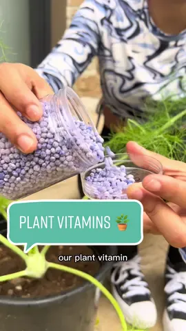 Plants need vitamins too!🪴🪴#plantworldcollectionstt #plantfertilizer #fyp #trinidadandtobago