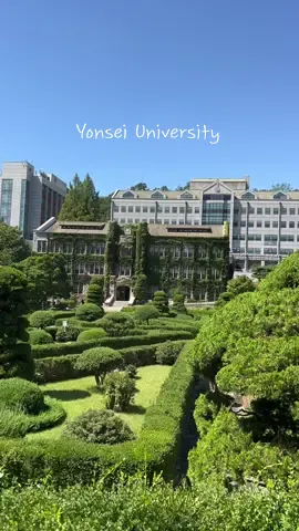 Prettiest campus #yonsei #yonseiuniversity #yonseicampus #studyabroad #korean #exchangestudent