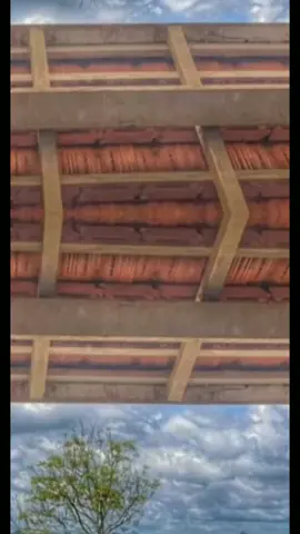 💥🎶...#status_dus_pecuaristas #pecuaria #usmininodapecuaria #agro10brasil #pecuariabrasil🇧🇷🐂🐂🐂🐂 