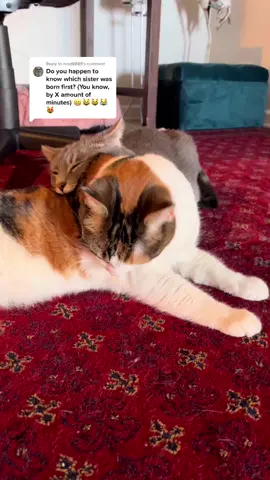 Replying to @evad9898