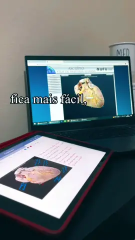 o super poder de fazer um pouco todo dia #motivacao #estudo #medicina #federal #cursin #prevestibular 