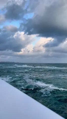 #كل_يوم_بقول_امتا_ترجع_ليا #سبت_فراغ_كبير #amrdiab #elhadba #alexsandria #بحر #explore #fypシ #wave #عمرو_دياب #قولي_ازاي_اعيش❓ #foryou #tiktok #الهضبه #اسكندريه #اكسبلور #ويف #ba7r #fyp #amr_diab