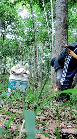 #assalamualaikum #tibatiba #videoviral #fyp #fypシ