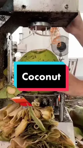 Swirling coconut #satisfying #oddlysatisfying #coconut #factory #china #chinatiktok #fyp #foryou #asmr #funnyvideo 
