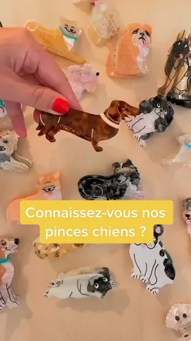 Do you know our dogs hair claws? 🐶  #coucousuzette #hairclaw #dogoftiktok #petlover