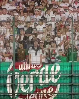 ATESTA ALTA PER SEMPRE 🦁🟢🔴#mouloudia_virage_sud🇮🇹🙏 #mouloudia #mouloudia_1921❤💚 #mouloudia_1921 