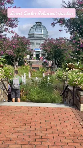 #botanicalgarden #virginia #fyp #placestovisitvirginia #lewisginterbotanicalgarden #summerfun2022