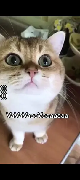 #keşfet#keşfet#keşfet#keşfet#