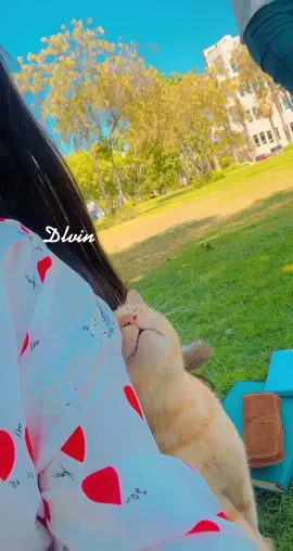 ھەمی رۆژا دا ھێتە نیک مە🥺😁#misruniversty #soran #nature