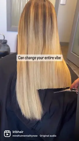 Ready to change your vibe? Turn up the volume on this one and wait til the end to see how my beauty changes up her vibe and I’m all about it. I call this cut  “The Audrey” Shears used @oliviagarden_int  Styling products @aquagehaircare  . . . . #oliviagarden #oliviagardenshears #aquage #aquagehaircare #haircut #haircutsforwomen #haircutdesigns #haircutting #haircutday #cosmoprofbeauty #behindthechair #beautylaunchpad #modernsalon #hairbrained #americansalon #ittakesapro #licensedtocreate @oliviagarden_int @behindthechair.com 