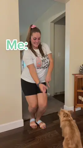 Presenting Daisy! She’s still in training to cooperate for TikToks! #teacher #teachersoftiktok #hitchuwittheblick #dog #dogsoftiktok #dogmom #dogmomlife #fyp #fypシ