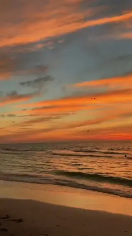 ho o oh#🗿🗿🗿 #meme #memes #memerandom #fyp 