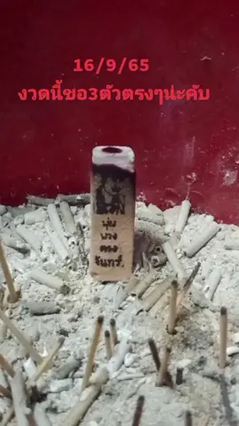 จุดธูปเเม่พุ่มพวง เพื่อเป็นเเนวทางน่ะคับ 16/9/65 #พุ่มพวงดวงจันทร์ #วัดทับกระดาน #หวยเด็ดงวดนี้ #หวยรัฐบาลงวดนี้ #ไม่ได้เเท็กใครขอโทษนะ