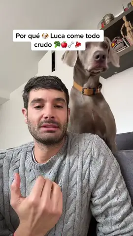 Un breve explicación de por qué Luca🐶 come dieta barf🥦🥩🦴 🙏 #mascotas #viral #foryou #foryoupage #xyzbca #parati 