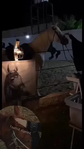 يا جميلة قام يطوي الحال طاوي ... #سعد_بن_جدلان #تناهيد_القصيد #شعر #قصيد #شيلات #تصميمي #اكسبلورexplore #fyp 