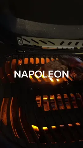 We are in Daytona cooking up some filets on our @Napoleon  travelQ240 trying to beat the rain!! #napoleon_partner #qthetravel 