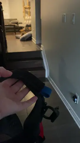 Paralyzed dog sees her wheelchair harness so she can walk 🐶#dog #paralyzed #india #harness @walkin_pets #wheelchair