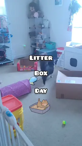 #cleaning #ineedalitterrobot #litterbox #cat #CleanTok #cattok #catsoftiktok #fyp #catroom #catlover #cleaningday #fypシ #viral 