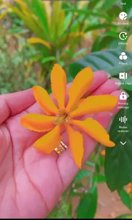 ආදරය.. සතුට ...දුක ...බලාපොරොත්තු පිරුණු තැන .... .🌸🌸❤️❤️ #Home #onemillionaudition #harshi #anju #tiktok 🤍☘️