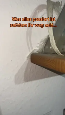 Ich hoffe ihr seid stolz da oben.. ❤️