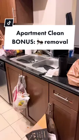 Replying to @mwclean and an ant exterminator, dishwasher tech, dryer tech… 😂😂 #studenthousing #howtoclean #CleanTok #studenttok #usc #fighton #clean
