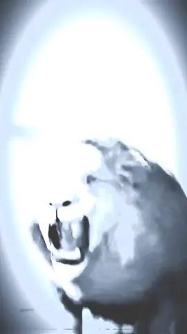 طلعوه أكسبلور 🥀🙏#لايك #متابعة #سوريا_تركيا_العراق_السعودية_الكويت