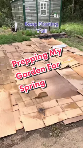 What do you do to let your soil rest over the winter? ##gardenhacks##gardentips##gardening101##zone8b##soil##cardboard##weeding##urbanhomestead##lisarn22##keepplantingyall@@lisa_rn_22 @lisa_rn_22 