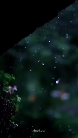 #beautiful #nature #calming #fypシ #relaxation #rain #aestheticvideos #goodvibes #fypシ #rain 