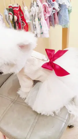 dog princess dress#PetsOfTikTok #dogclothes #petclothes #pets #pet #fpy #dog 