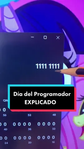 ¿Por qué es el día del programador? #AprendeConTikTok #AprendeEnTikTok #techtok #programadores #python #java #html #csharp #java 