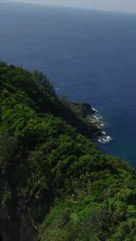 Helicopter Ride over a mountain ridge.  #helicopterride #coast #coastline #philippines #beautifulphilippines🇵🇭 #pacificocean #mountainridge #mountainsandocean #ocean #trees #water #landscape #tropical #baler #auroraprovince #aerial #aerialview #flight #sierramadremountain #sierramadres #sierramadre 