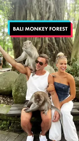 Time to add the Monkey Forest in Ubud to your bucket list 🙈🙉🙊 #bali #monkeyforestbali #monkeyforestubud #monkeyforest