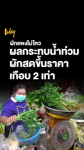 ผักแพงไม่ไหว! ผลกระทบน้ำท่วม ผักสดขึ้นราคาเกือบ 2 เท่า #ผักสด #ผัก #ราคาผัก #ขึ้นราคา #น้ําท่วม #ข่าววันนี้ #ข่าวtiktok #tiktoknews #workpointtoday
