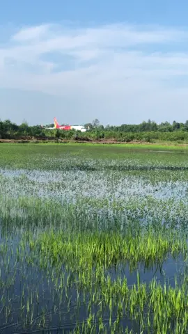 Nơi bình yên là quê nhà🥹🥹🥹 #xuhuongtiktokk 