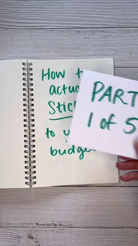 It’s one thing to make a budget, it’s another to STICK to it! 💗 #budgetingforbeginners #budgetplanner #budgetingtips 