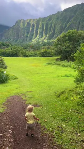 Buddy found a new spot today 💚 #howdoyougettowonderland #hawaii #oahulife #botanicalgarden #oahubotanicalgarden #toddlerboy #bestlife 