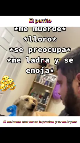 #perrito #dueño  #memes #viral 